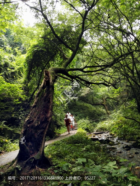 景區(qū)游客,旅游景點(diǎn)景區(qū)安全提示