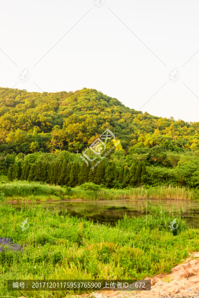 村邊小山