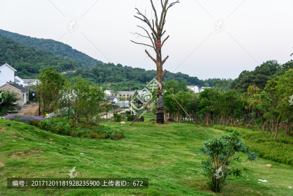 不老村村景