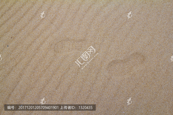 沙波紋
