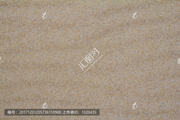 沙波紋