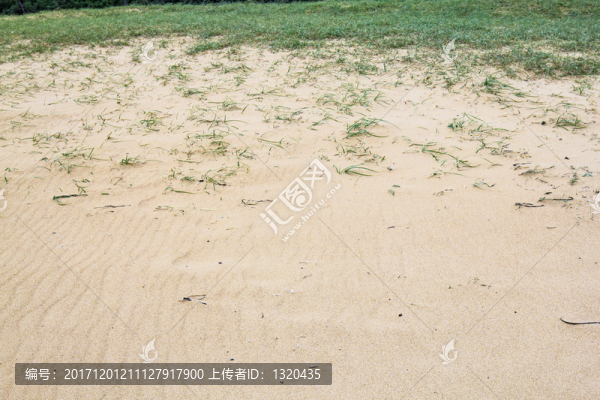 海灘