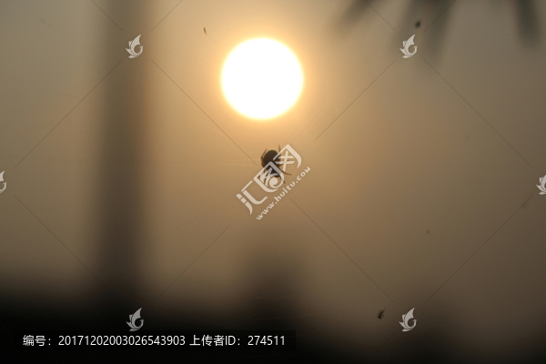 傍晚的陽光