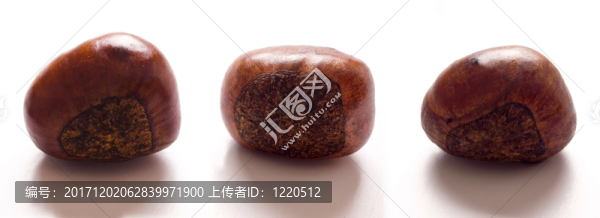 棕色的