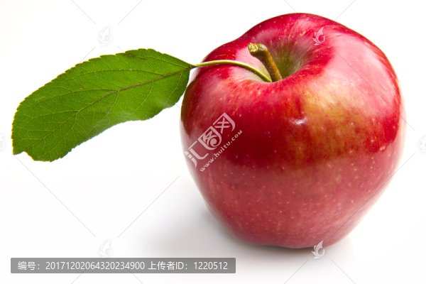 食物