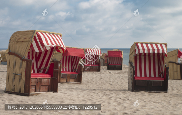 尼克斯在海灘上