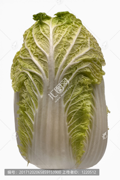 白菜