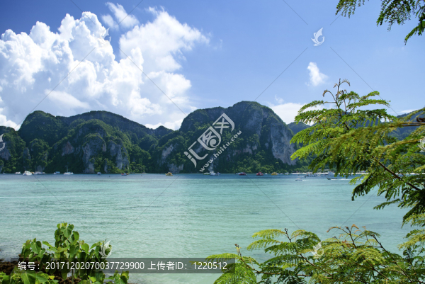 美麗的