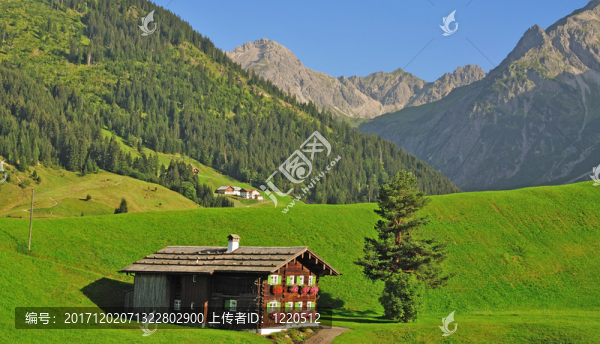 田園詩般的kleinwalsertal