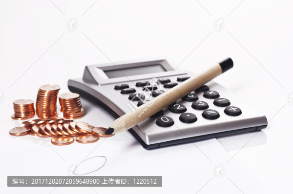 財(cái)政控制