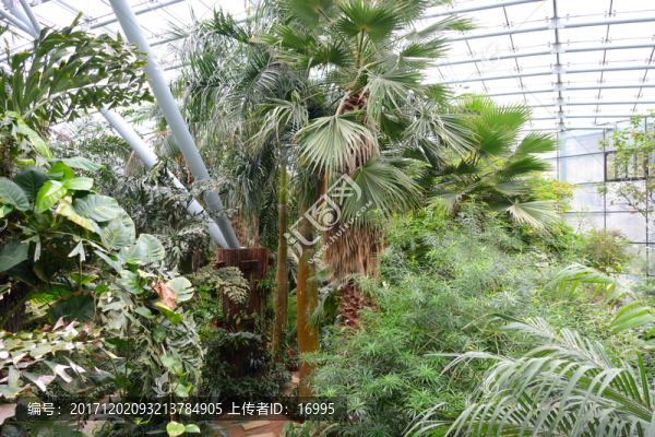 南京植物博覽園