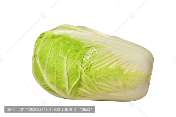 翠綠大白菜