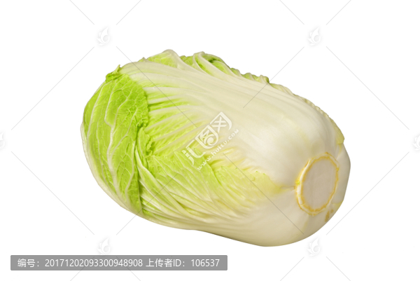 大白菜