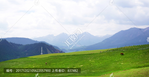 卓爾山風情