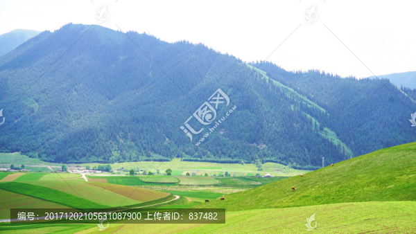 卓爾山風(fēng)情