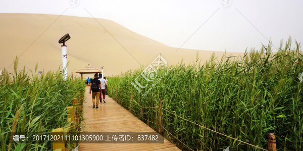 鳴沙山月牙泉