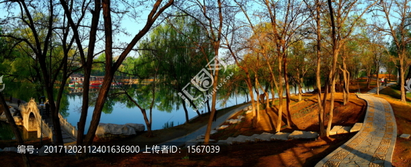 公園