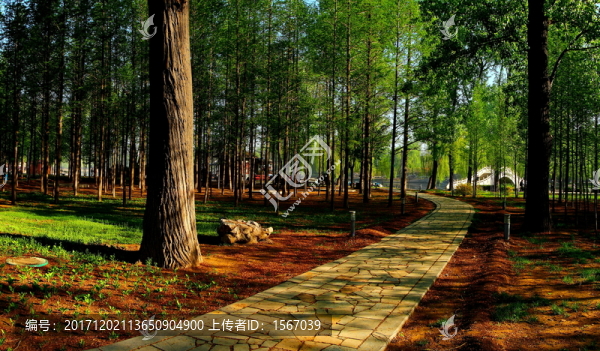 公園