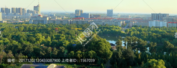 公園