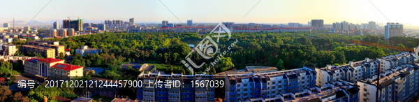 城市