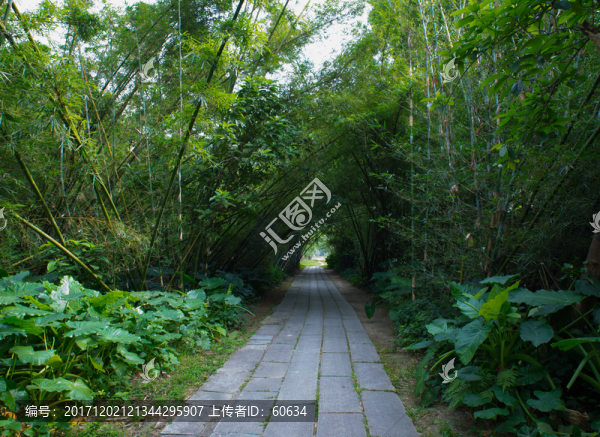 竹林道