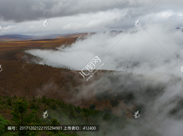 高原峽谷云霧