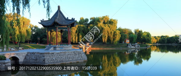 公園