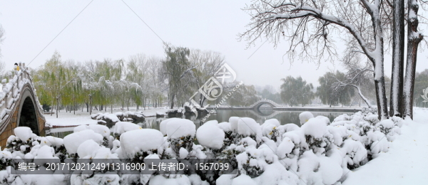 雪景公園