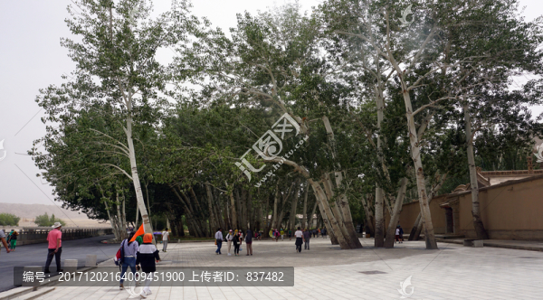 莫高窟風(fēng)景