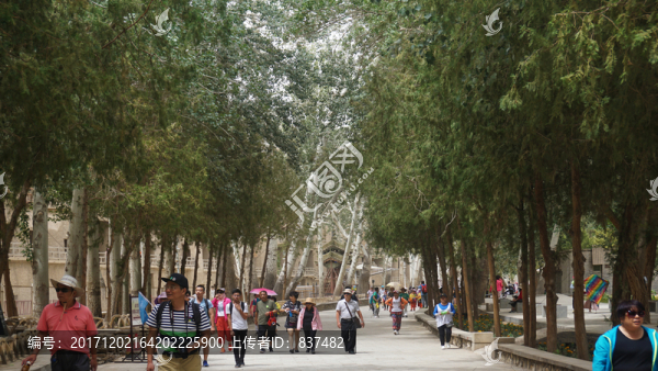 莫高窟風(fēng)景