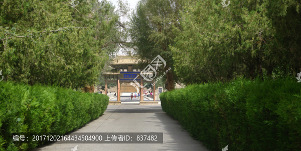 莫高窟風(fēng)景