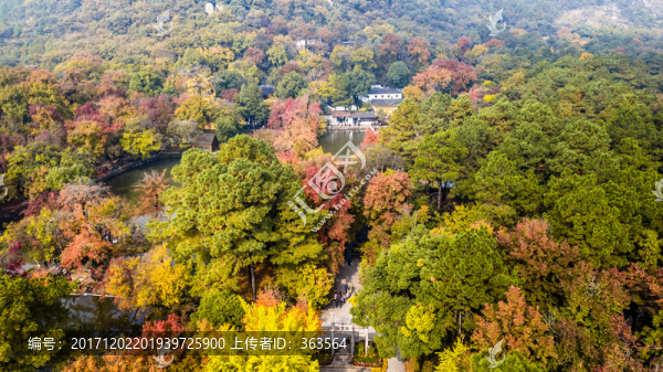蘇州天平山秋色