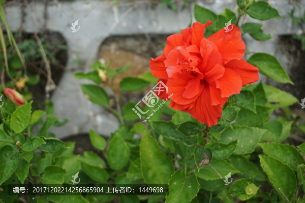 天涯海角