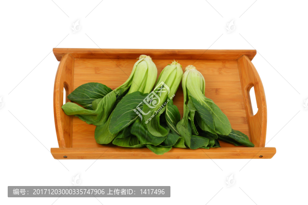 木質(zhì)托盤
