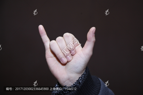 手勢(shì)