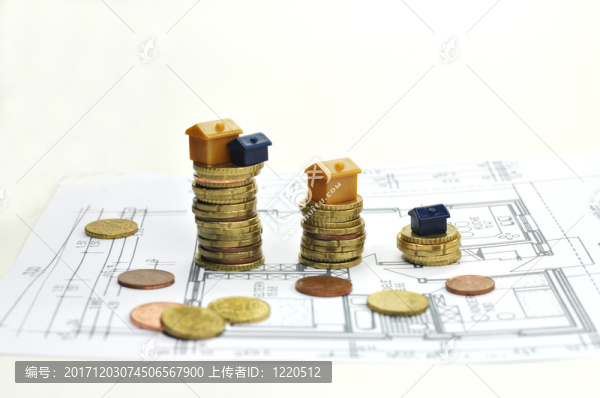 所有權(quán)或租金（成本）