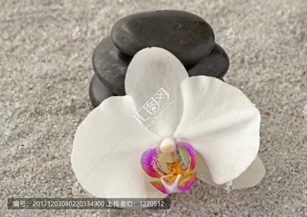 現(xiàn)在的