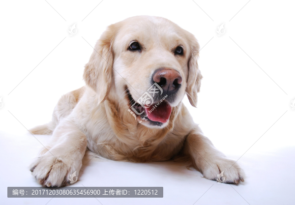 網(wǎng)絡(luò)日志本
