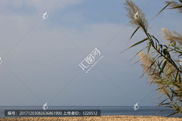藍(lán)色