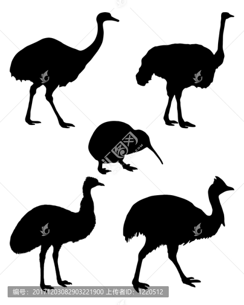 世界的平地球