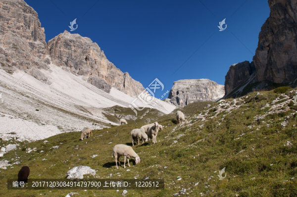 山