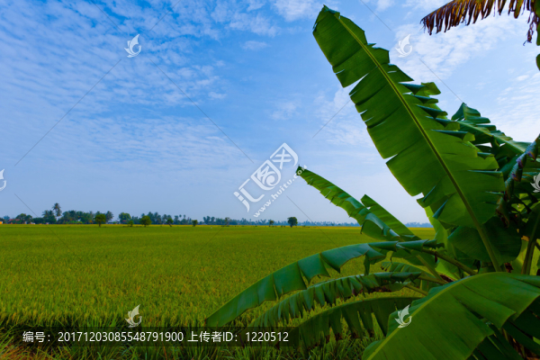 亞洲
