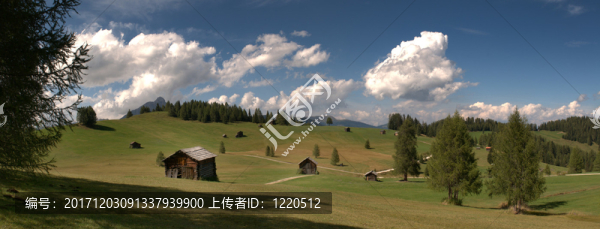 山