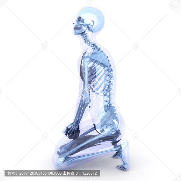 教育