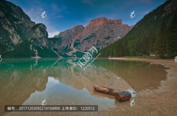 的Wildsee