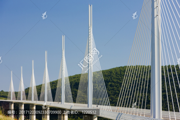 橋