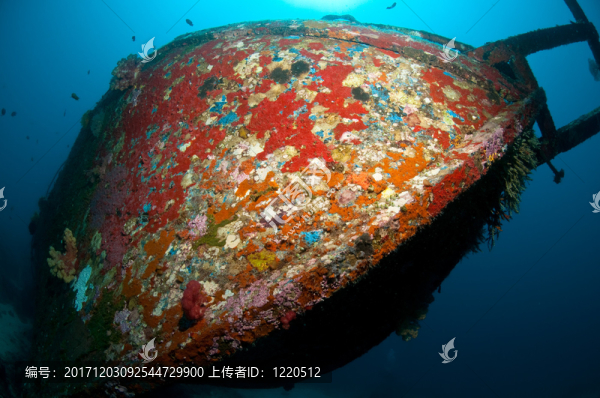 潛水
