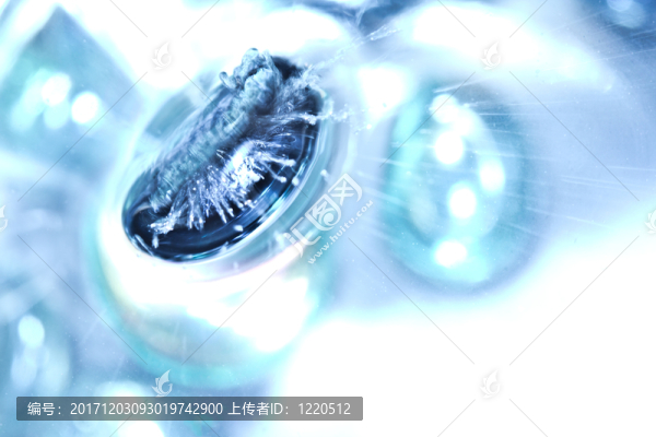 運(yùn)動