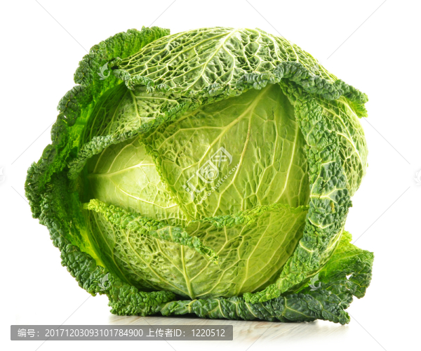 食物