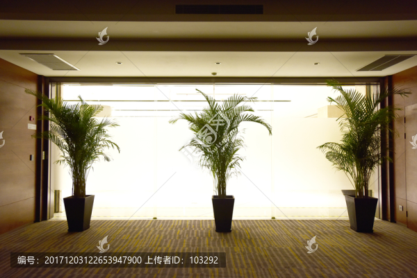 室內(nèi)綠植